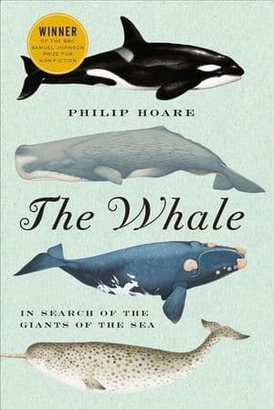 The Whale