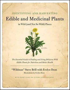 Identifying & Harvesting Edible and Medicinal Plants (And Not So Wild Places)