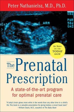 Buy The Prenatal Prescription at Amazon