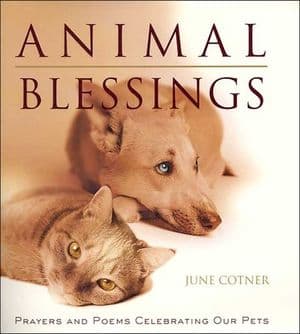 Animal Blessings