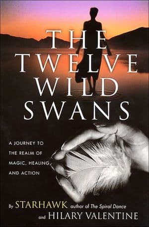 The Twelve Wild Swans