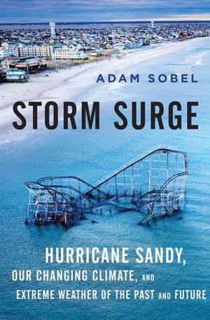 Buy Storm Surge at Amazon