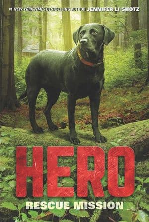 Buy Hero at Amazon