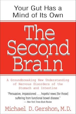 The Second Brain