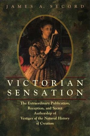 Victorian Sensation