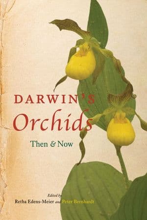 Darwin's Orchids