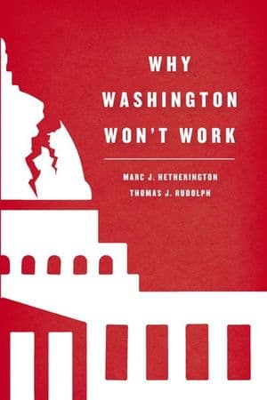 Why Washington Won't Work