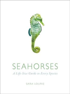 Seahorses