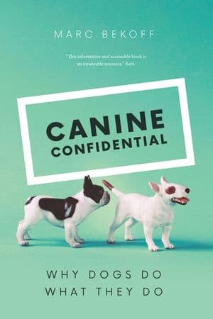 Canine Confidential