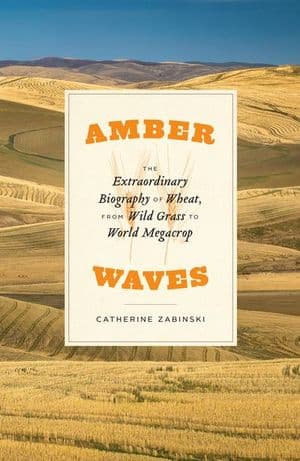 Amber Waves