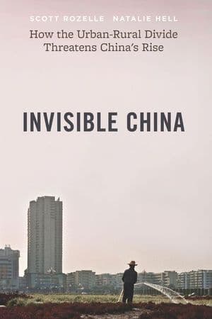 Invisible China