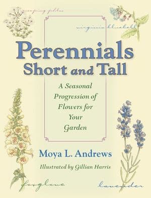 Perennials Short and Tall