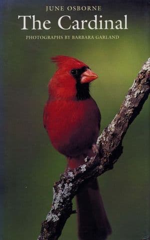 The Cardinal