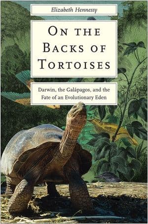 On the Backs of Tortoises