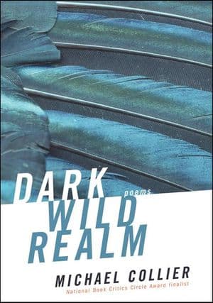 Dark Wild Realm