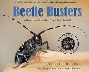 Beetle Busters