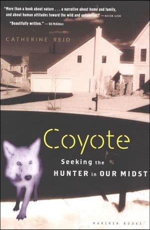 Coyote