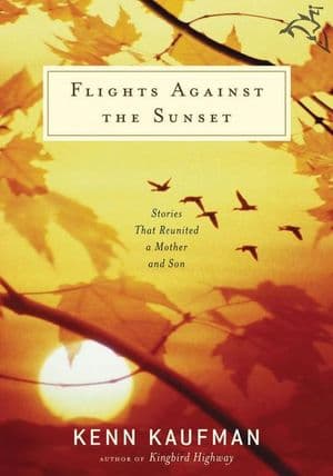 Flights Against the Sunset