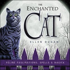 The Enchanted Cat