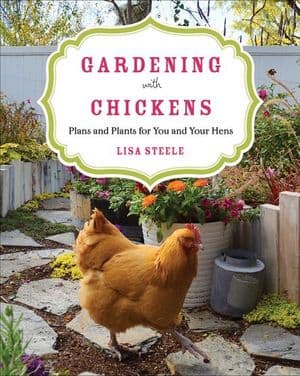 Gardening with Chickens