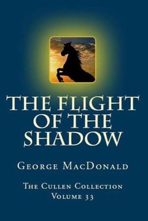 The Flight of the Shadow