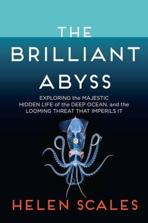 The Brilliant Abyss