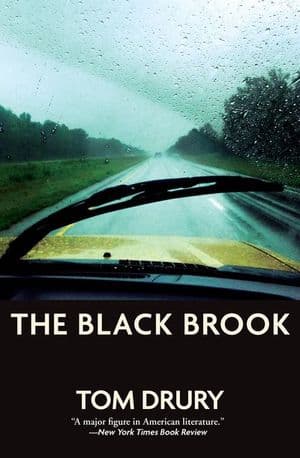 Buy The Black Brook at Amazon