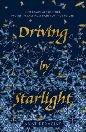 Driving by Starlight