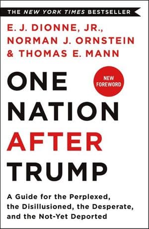 One Nation After Trump