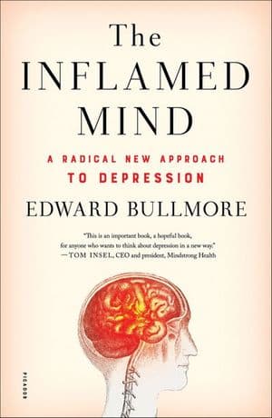 The Inflamed Mind