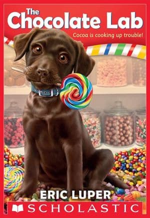 The Chocolate Lab