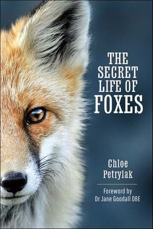 Buy The Secret Life of Foxes at Amazon