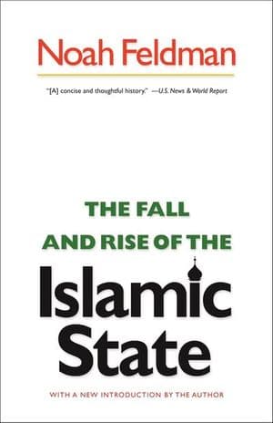 The Fall and Rise of the Islamic State