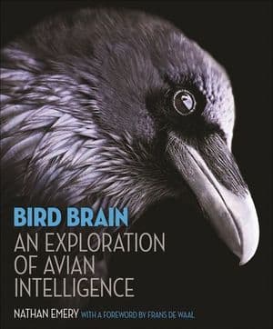 Bird Brain