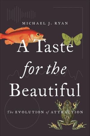 A Taste for the Beautiful