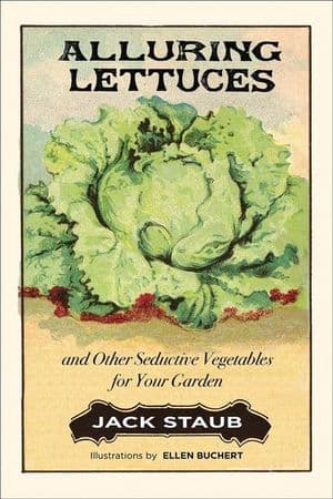 Alluring Lettuces