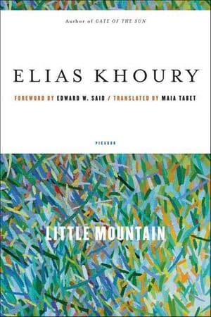 Buy Little Mountain at Amazon