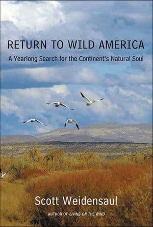 Return to Wild America