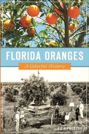 Florida Oranges