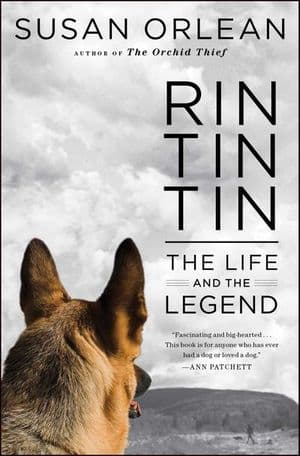 Buy Rin Tin Tin at Amazon