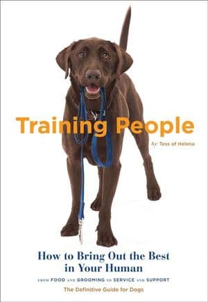 Training People