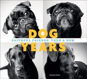 Dog Years