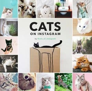 Cats on Instagram