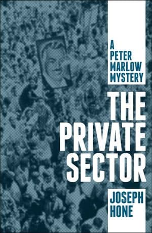 The Private Sector