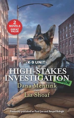 High-Stakes Investigation