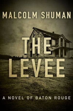 The Levee