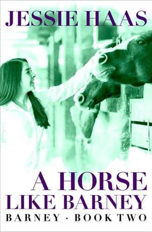 Buy A Horse like Barney at Amazon