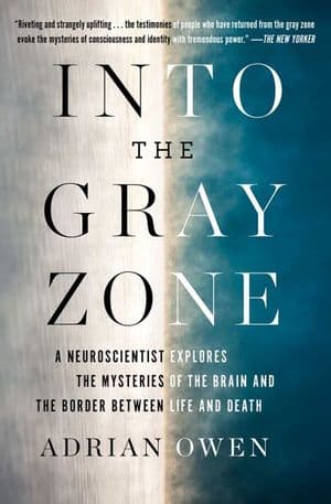 Buy Into the Gray Zone at Amazon