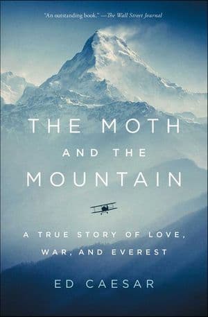 Buy The Moth and the Mountain at Amazon