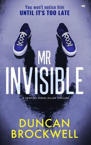 Mr Invisible